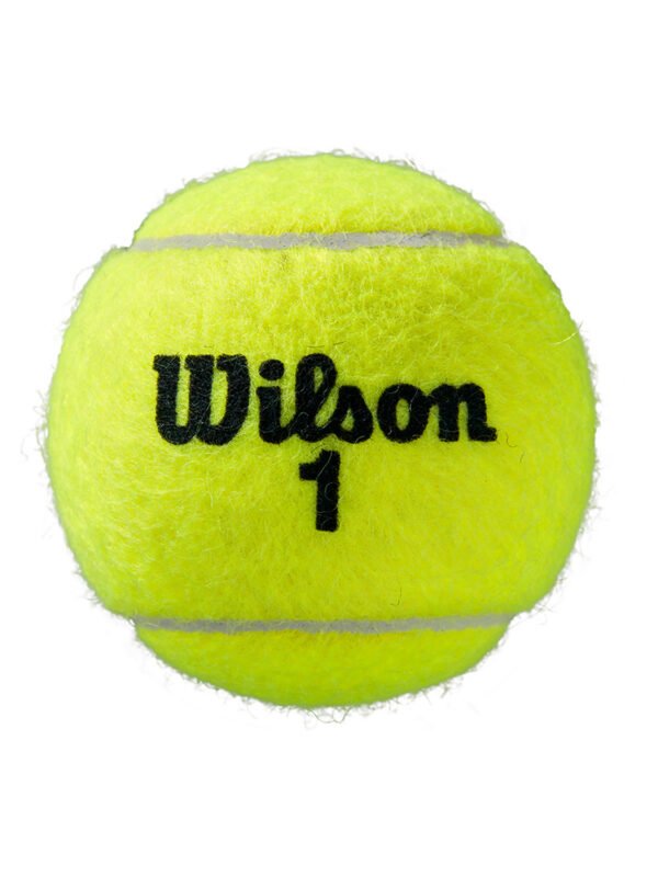 Wilson Roland Garros Tennis Ball - Can of 3 Balls_3 Wilson Roland Garros Tennis Ball - Can of 3 Balls