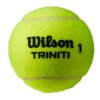 Wilson Triniti All Court Tennis Ball - Can of 3 Balls_2 Wilson Triniti All Court Tennis Ball - Can of 3 Balls